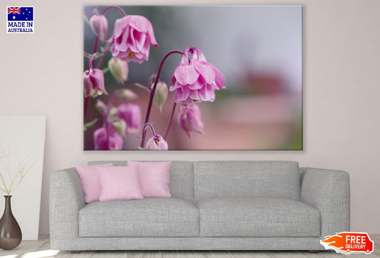 Pink Columbine Flowers Photograph Print 100% Australian Made