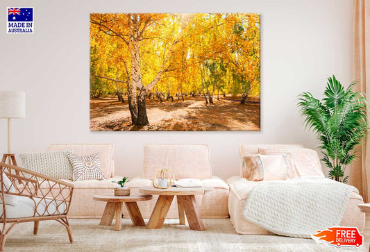 Yellow Autumn Trees Forest Scenery Photograph Print 100% Australian Made