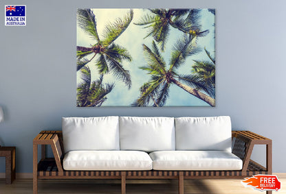 Sunshine on Palm Trees View Photograph Australia Print 100% Australian Made