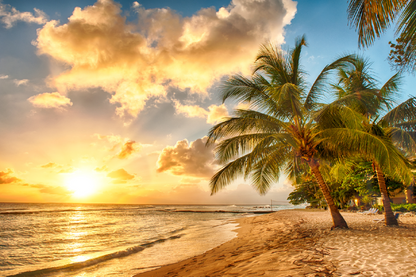 Palm Trees & Sunset Sky Scenery View Photograph Print 100% Australian Made