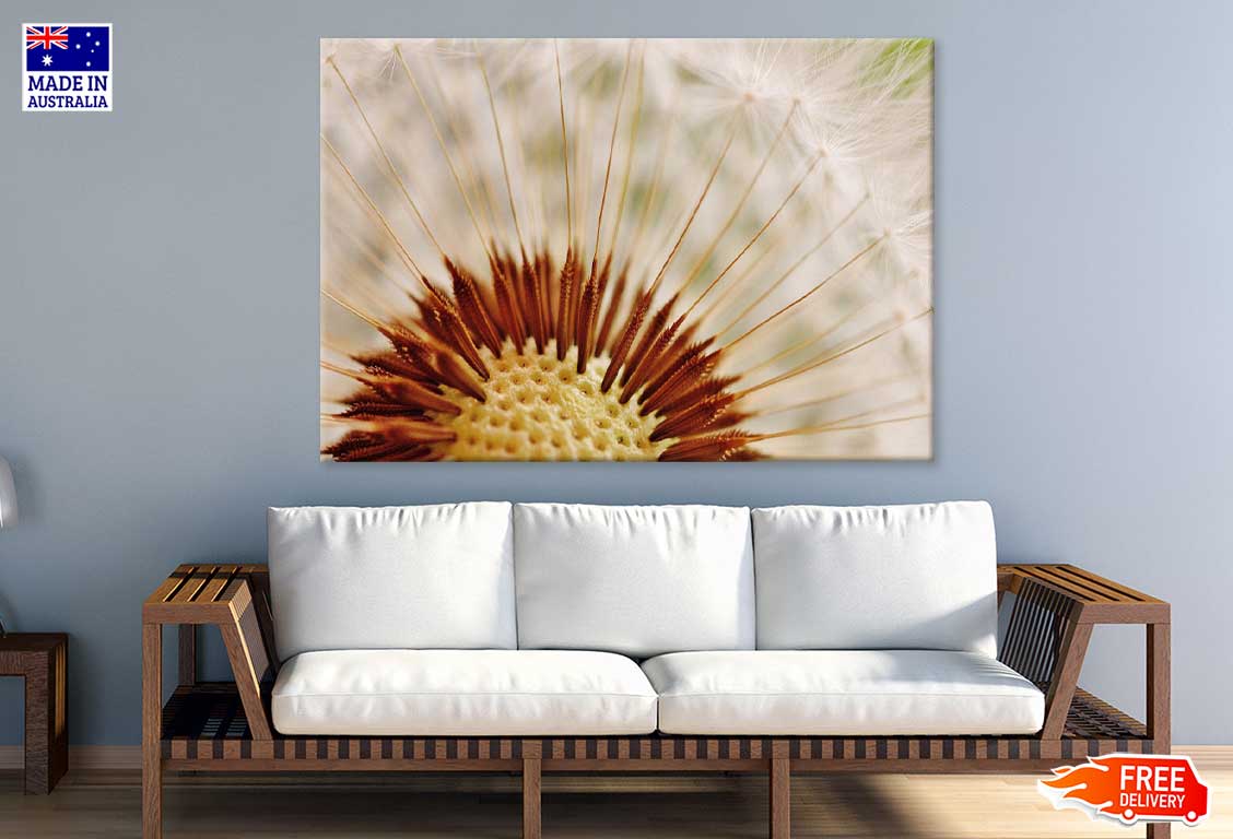 Dandelion Macro View Photograph Print 100% Australian Made