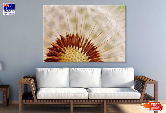 Dandelion Macro View Photograph Print 100% Australian Made