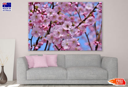 Pink Cherry Blossom Flowers & Branches Photograph Print 100% Australian Made