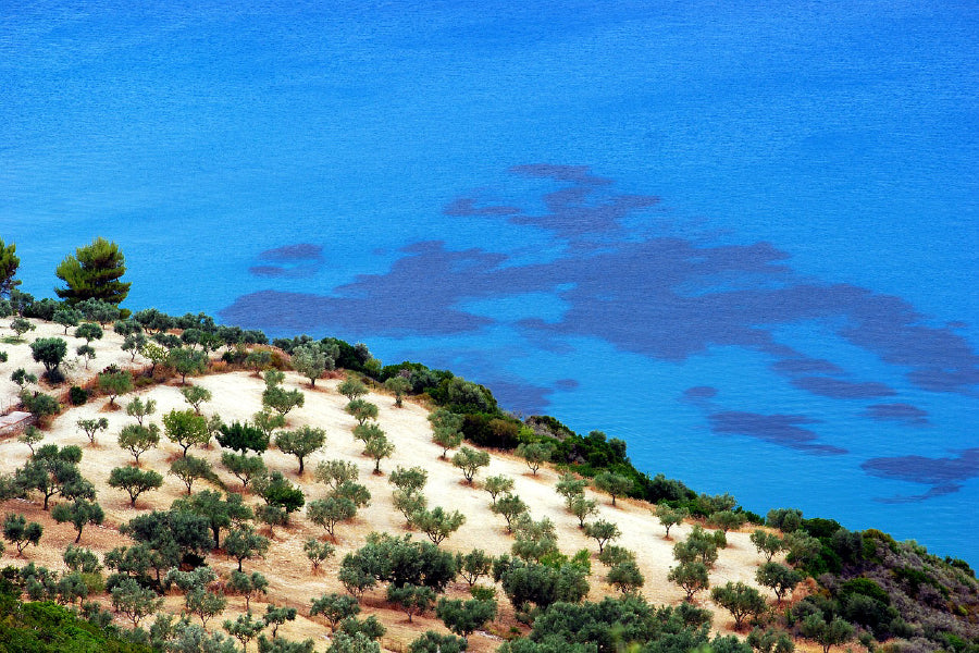 Zakynthos Island & Forest Aerial View Photograph Print 100% Australian Made