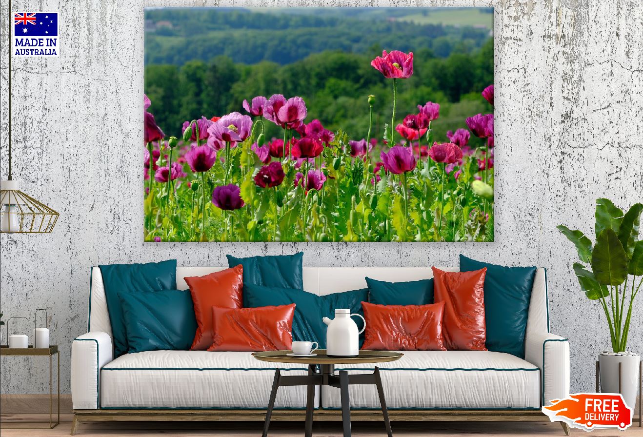 Poppy Flowers with Plant Photograph Print 100% Australian Made