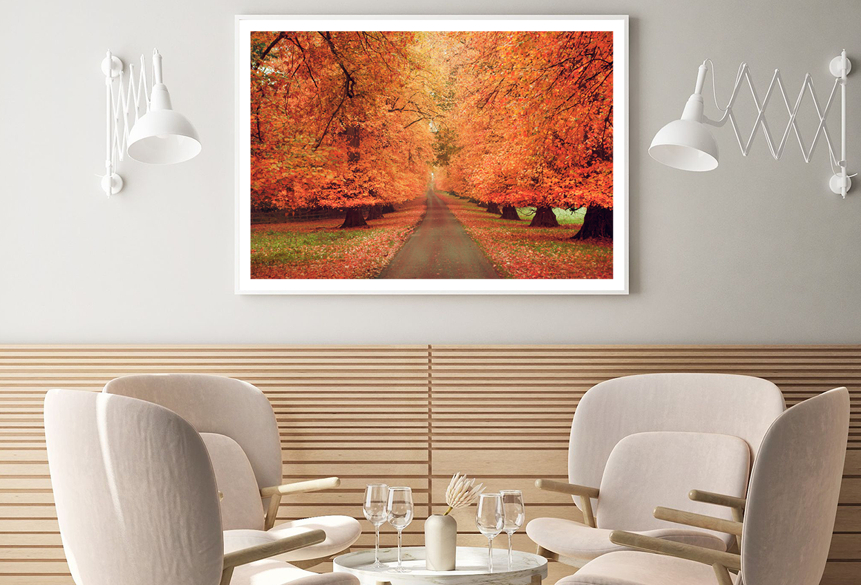 Autumn Trees & Walking Park Photograph Home Decor Premium Quality Poster Print Choose Your Sizes