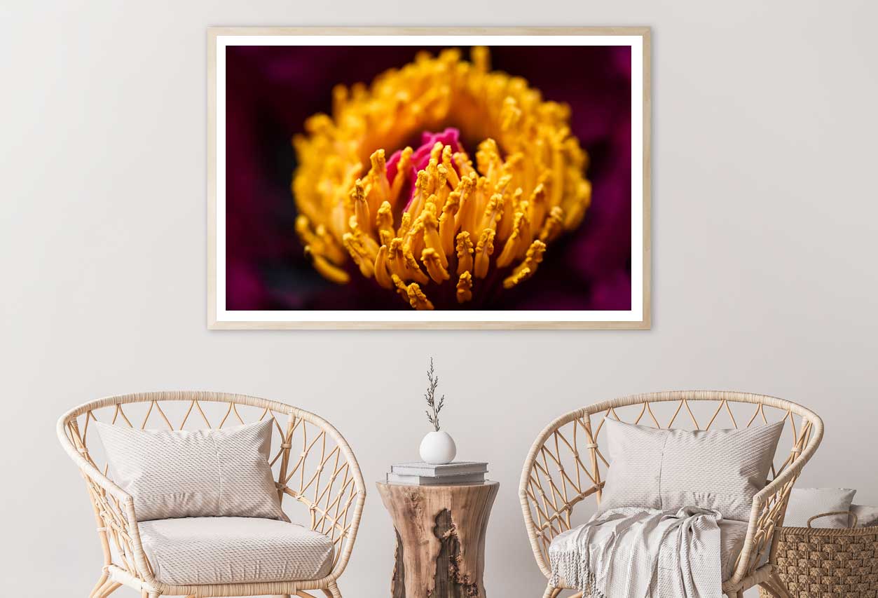 Yellow Peony Closeup View Photograph Home Decor Premium Quality Poster Print Choose Your Sizes