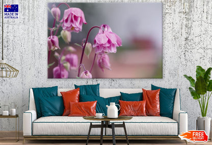 Pink Columbine Flowers Photograph Print 100% Australian Made