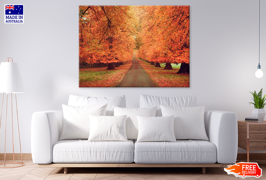 Autumn Trees & Walking Park View Print 100% Australian Made