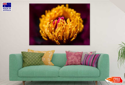 Yellow Peony Closeup View Photograph Print 100% Australian Made