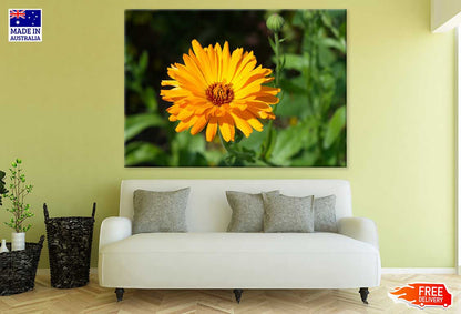 Yellow Calendula Flower Closeup View Photograph Print 100% Australian Made