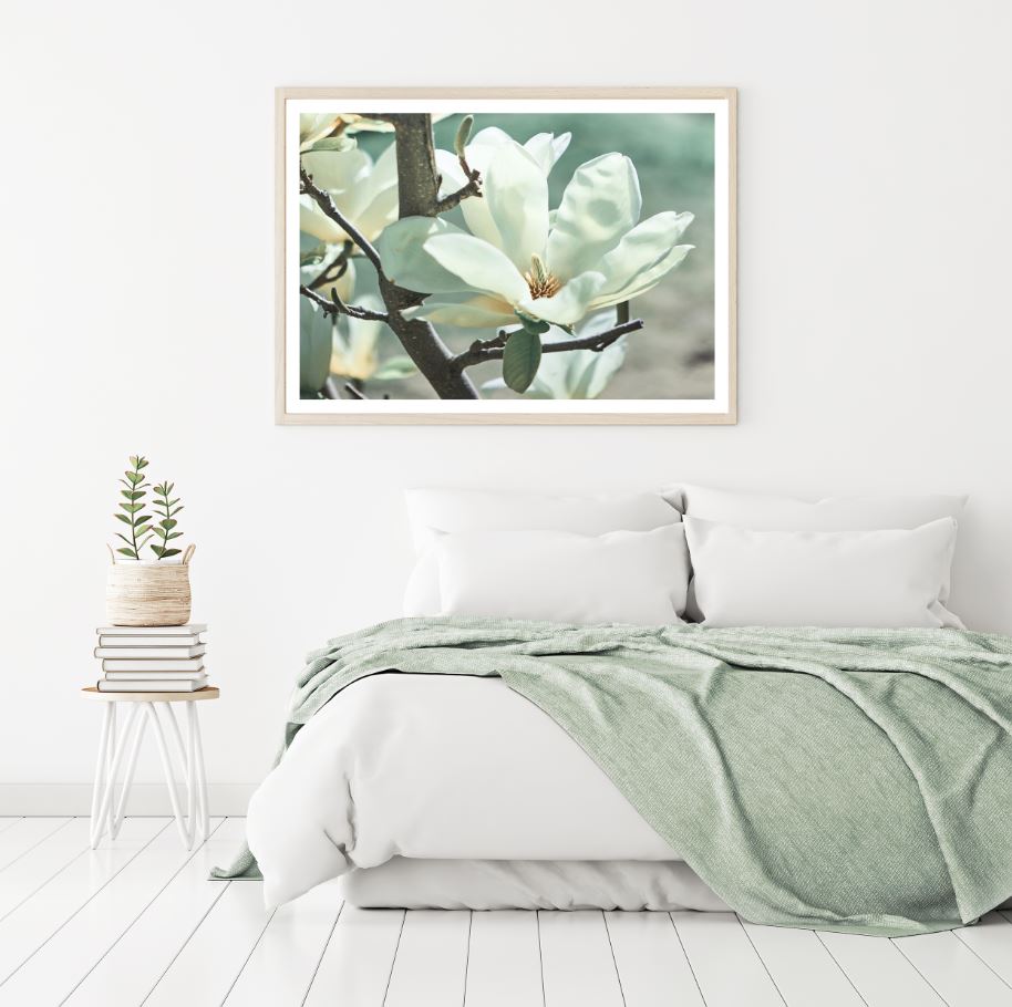 White Flower Macro Photograph Home Decor Premium Quality Poster Print Choose Your Sizes