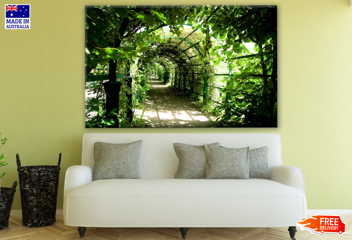 Garden Tunnel Covered with Plants Photograph Print 100% Australian Made