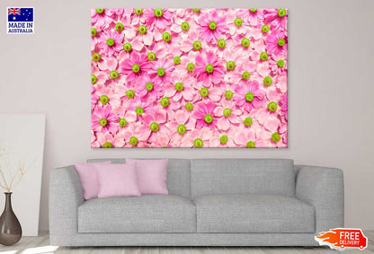 Hot Pink Flowers Aerial View Photograph Print 100% Australian Made