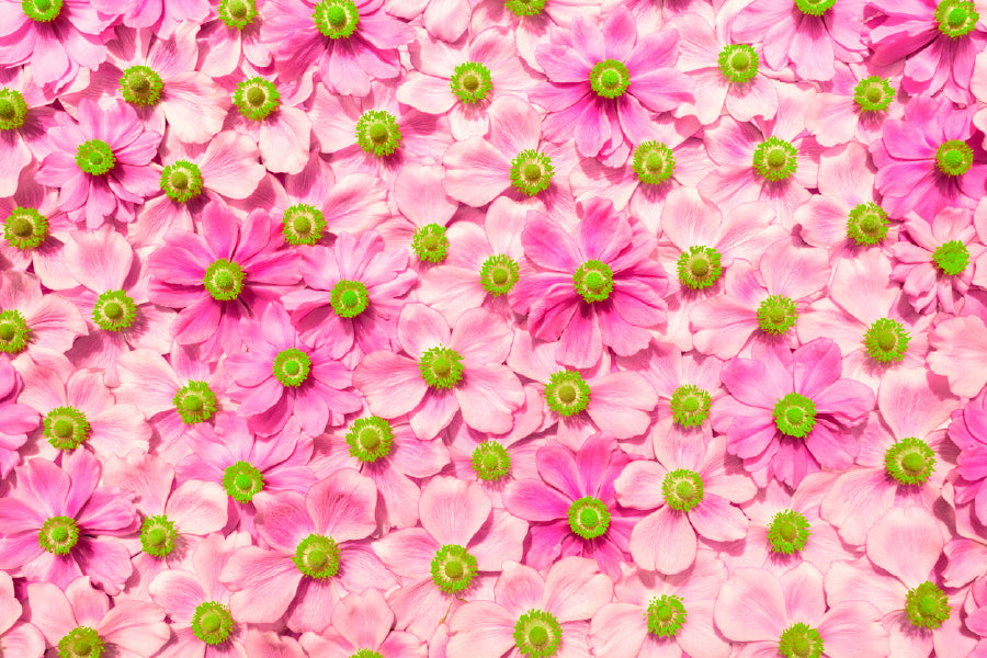 Hot Pink Flowers Aerial View Photograph Print 100% Australian Made