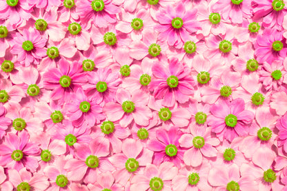 Hot Pink Flowers Aerial View Photograph Print 100% Australian Made