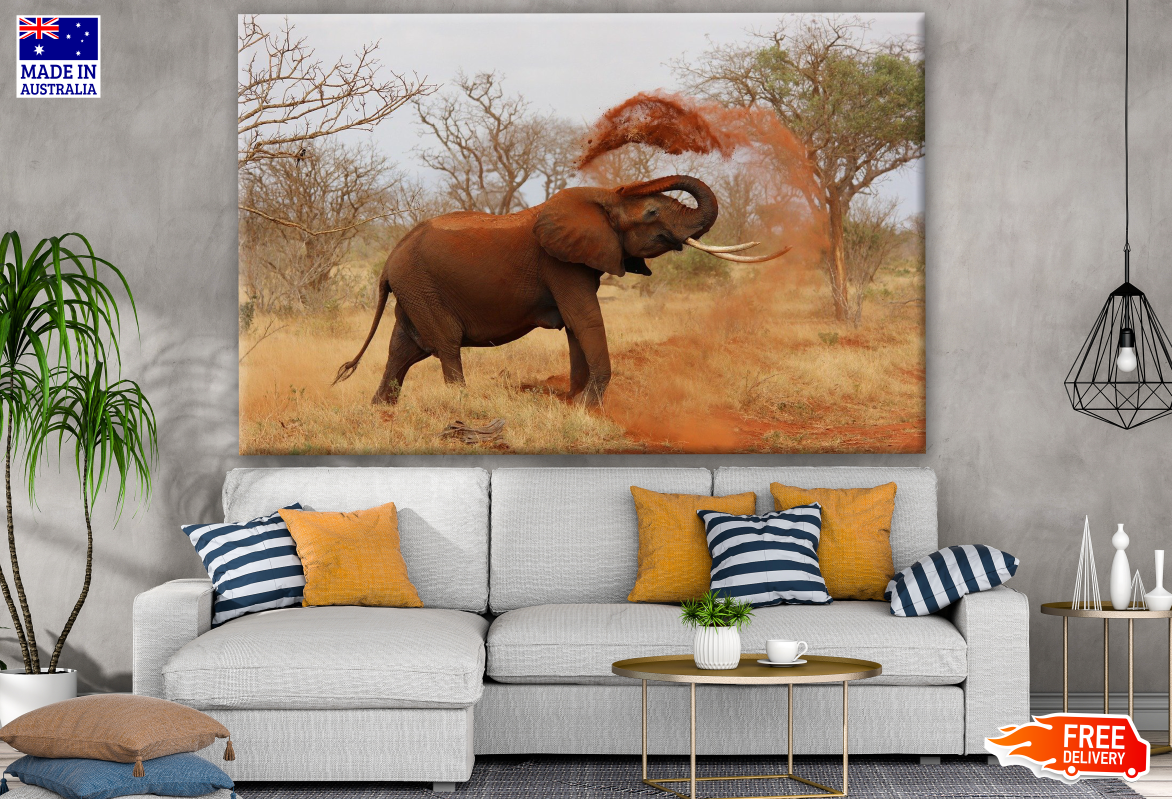 Elephant Playing with Sand Photograph Print 100% Australian Made