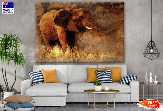 Elephant Walking Photograph Print 100% Australian Made