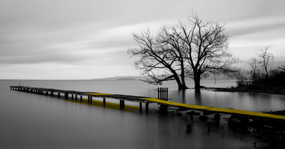 Panoramic Canvas Wooden Pier B&W View High Quality 100% Australian Made Wall Canvas Print Ready to Hang