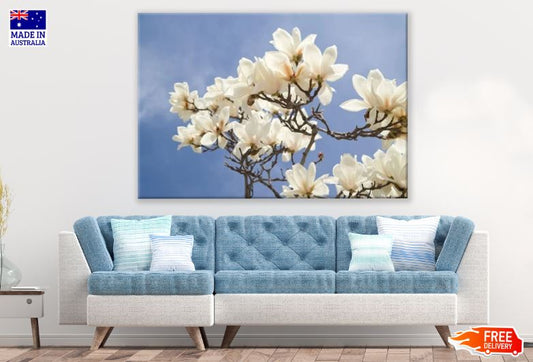 Magnolia Flowers Bloom Print 100% Australian Made