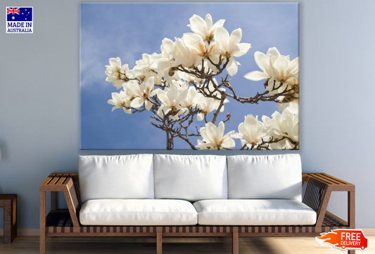 White Flowers Tree Photograph Print 100% Australian Made
