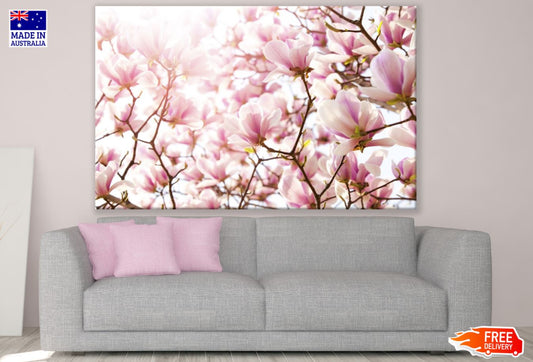 Pink Flower Tree Photograph Print 100% Australian Made