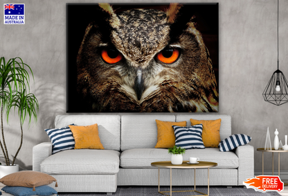 Owl with Orange Eyes Portrait Photograph Print 100% Australian Made