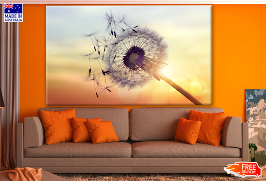 Dandelion Flower with Flying Buds Sunset Photograph Print 100% Australian Made