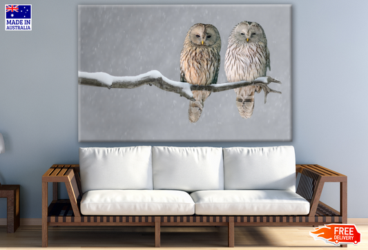 Owls Sitting on a Branch Photograph Print 100% Australian Made