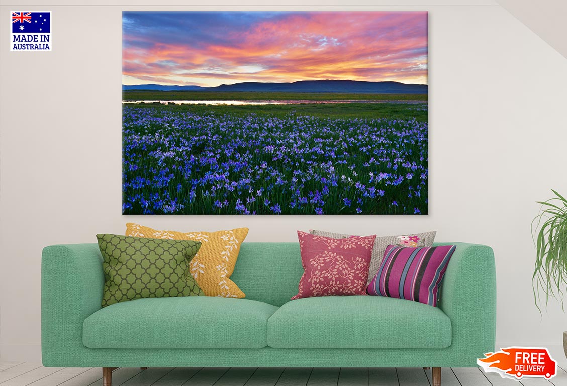 Flower Field Scenery Photograph Print 100% Australian Made
