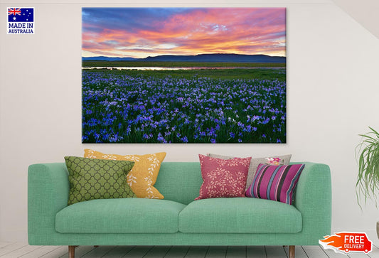 Flower Field Scenery Photograph Print 100% Australian Made