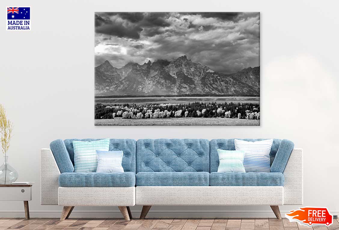 Forest Near Mountains B&W View Photograph Print 100% Australian Made