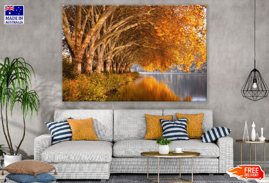 Autumnal Forest & Lake Scenery Photograph Print 100% Australian Made