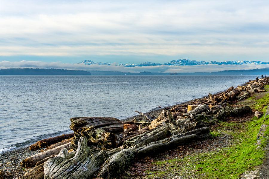 Sea Shoreline at Lincoln Park View Photograph Print 100% Australian Made