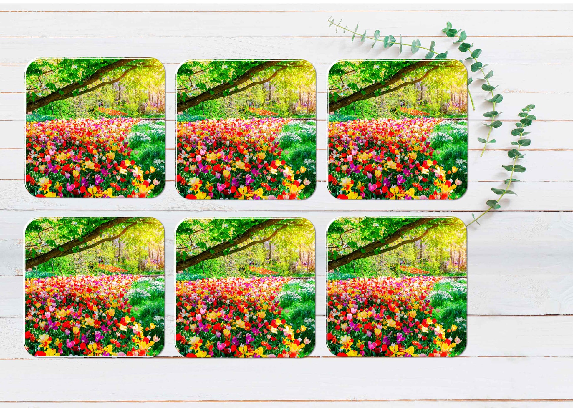 Photograph of Tulip Flowers In Forest Coasters Wood & Rubber - Set of 6 Coasters