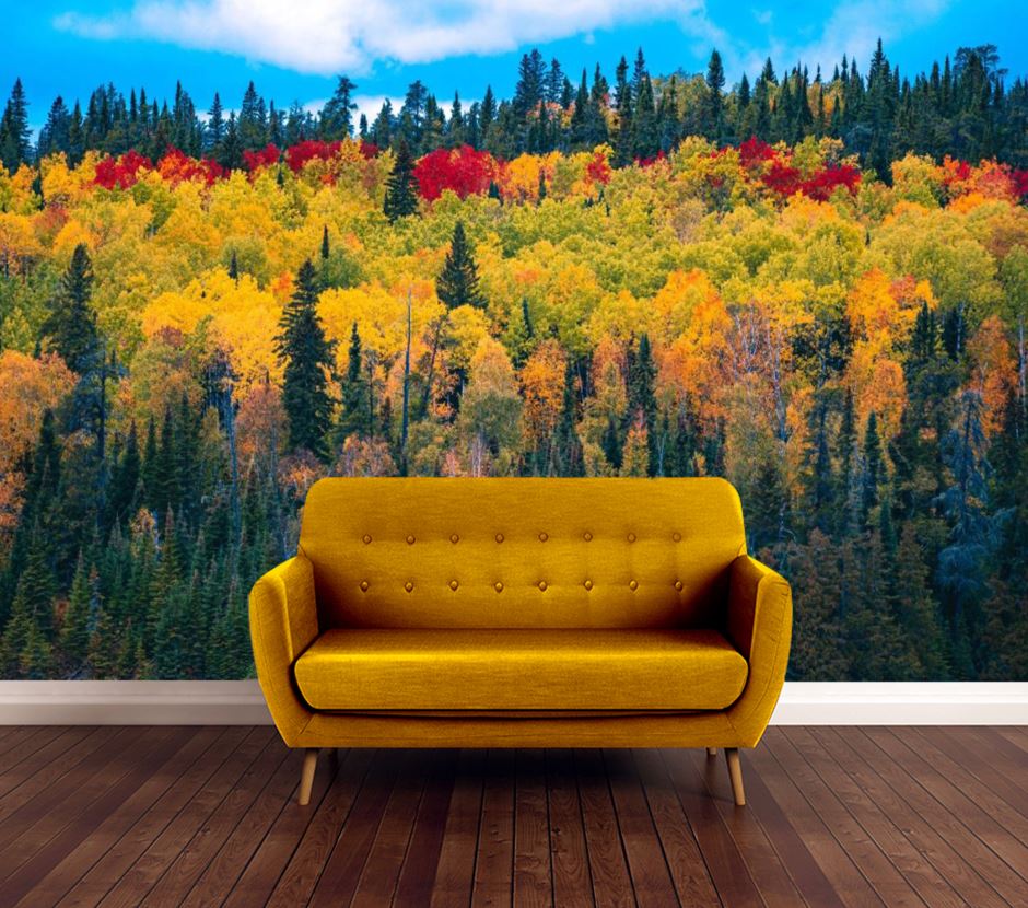 Wallpaper Murals Peel and Stick Removable Colorful Forest High Quality