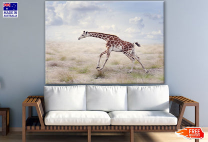 Running Giraffe Photograph Print 100% Australian Made