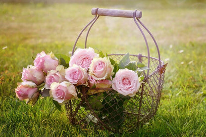 Pink Roses in a Basket Photograph Print 100% Australian Made