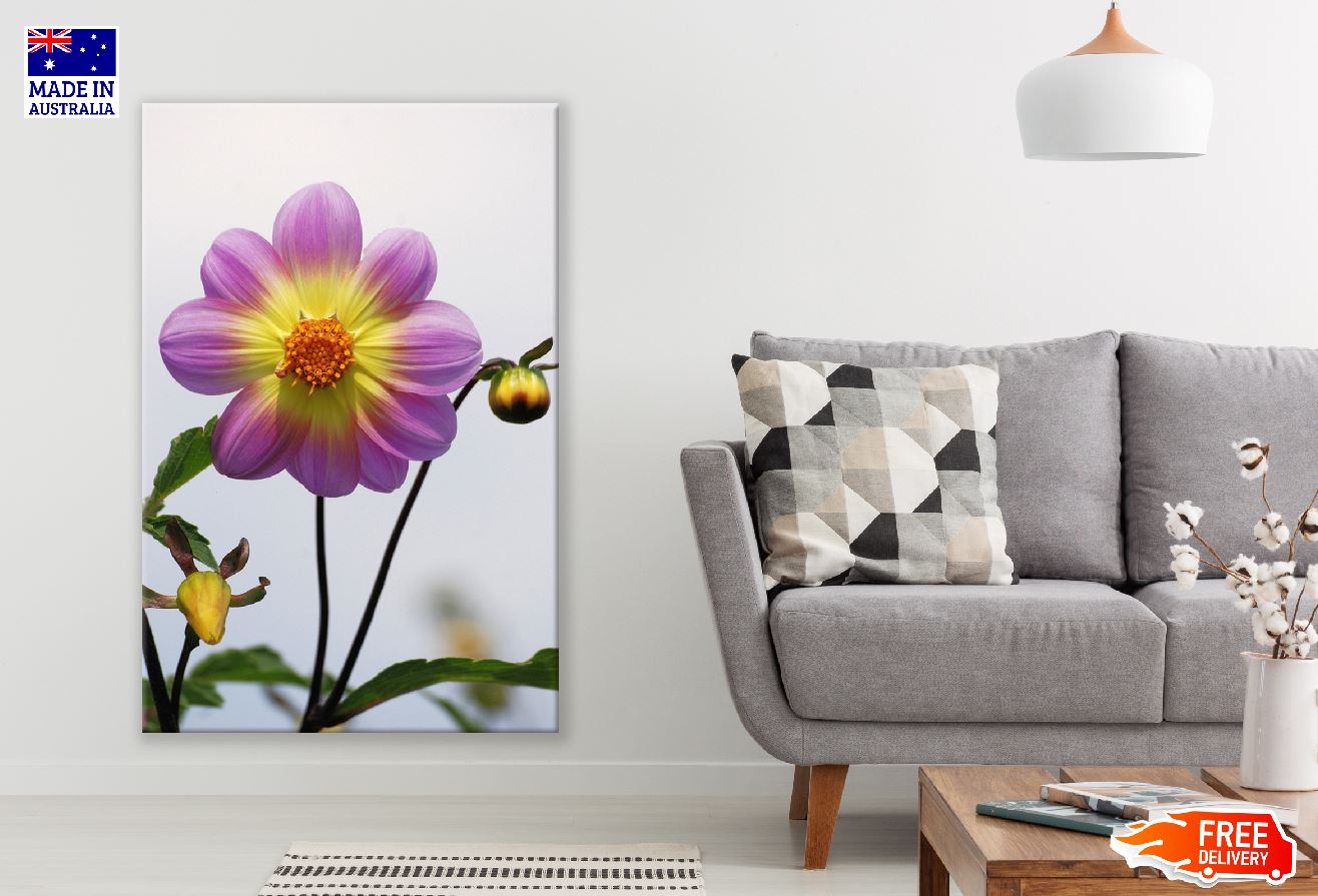 Purple and Yellow Dahlia Closeup Photograph Print 100% Australian Made