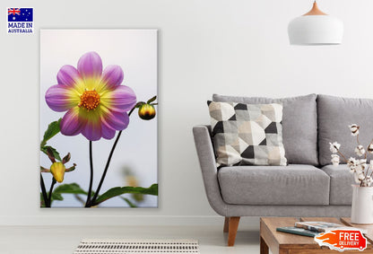 Purple and Yellow Dahlia Closeup Photograph Print 100% Australian Made