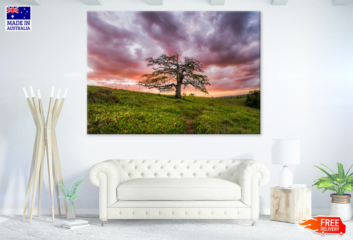 Tree & Sunset Scenery Photograph Print 100% Australian Made