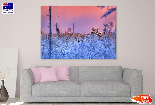 Forest Trees Winter Sunset View Photograph Print 100% Australian Made