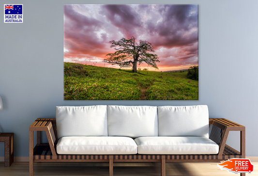 Tree & Sunset Scenery Photograph Print 100% Australian Made