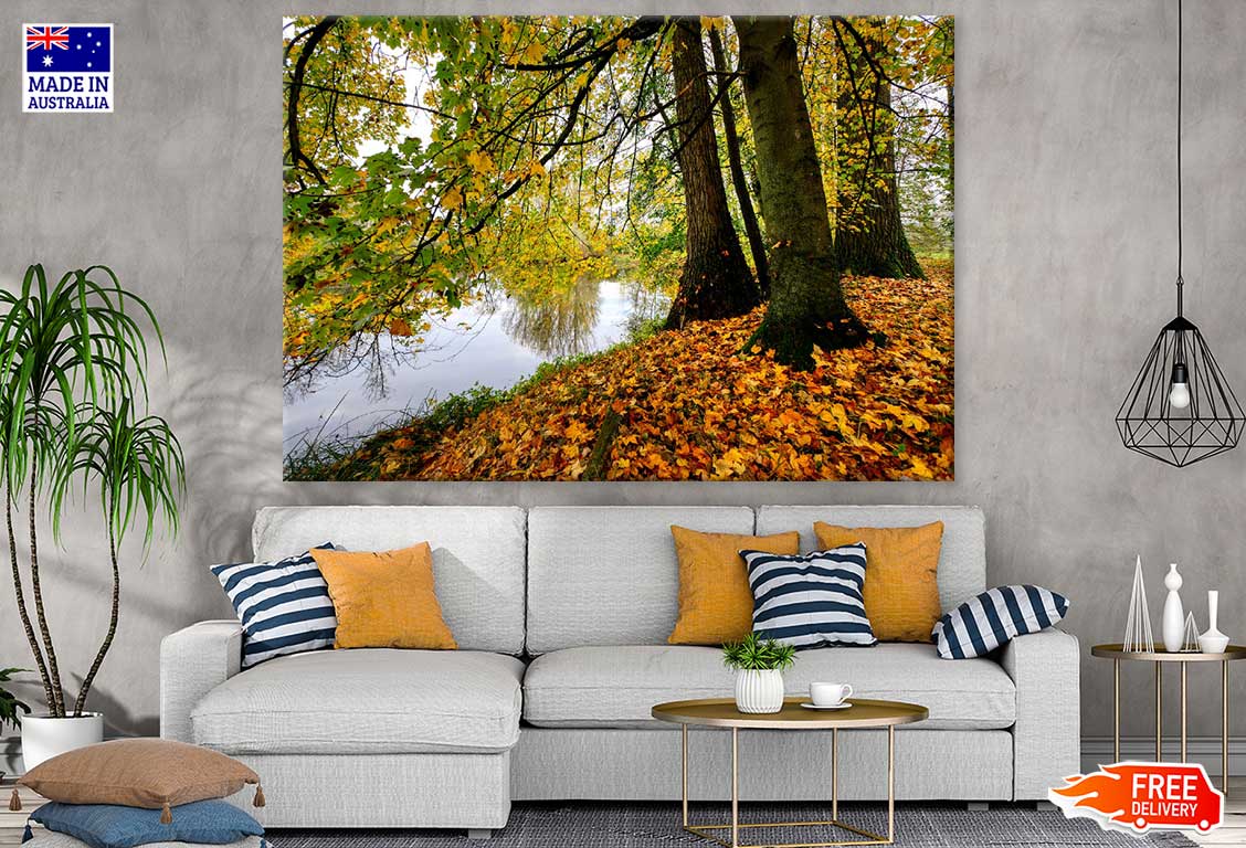 Autumn Forest Near Lake Photograph Print 100% Australian Made