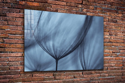 Blue Dandelion View Print Tempered Glass Wall Art 100% Made in Australia Ready to Hang