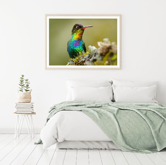Humming Bird Closeup Portrait Home Decor Premium Quality Poster Print Choose Your Sizes