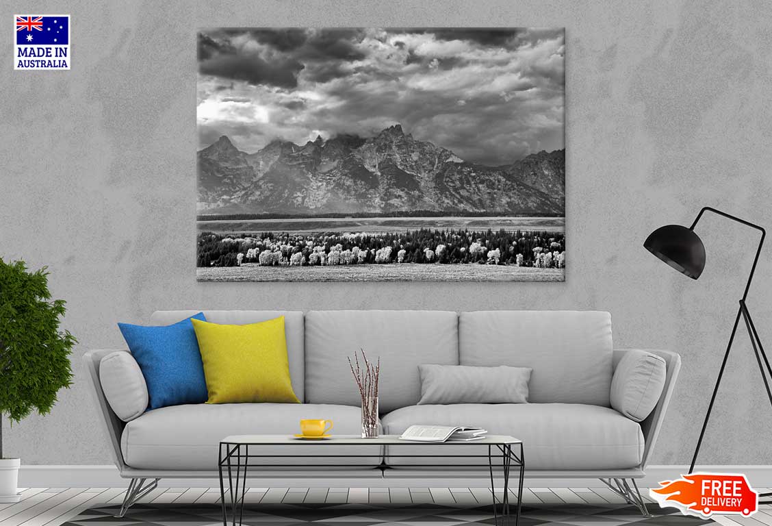 Forest Near Mountains B&W View Photograph Print 100% Australian Made