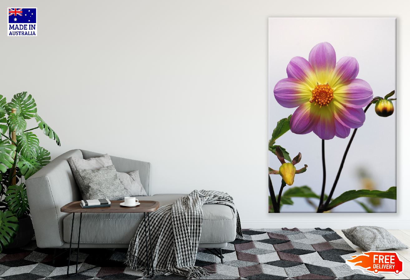 Purple and Yellow Dahlia Closeup Photograph Print 100% Australian Made