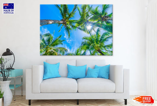 Palm Trees with Blue Sky View Photograph Print 100% Australian Made