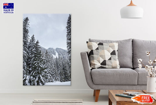 Snow Covered Pine Forest Trees Photograph Print 100% Australian Made